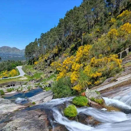 Дом отдыха Cantinho Tecedeiras *