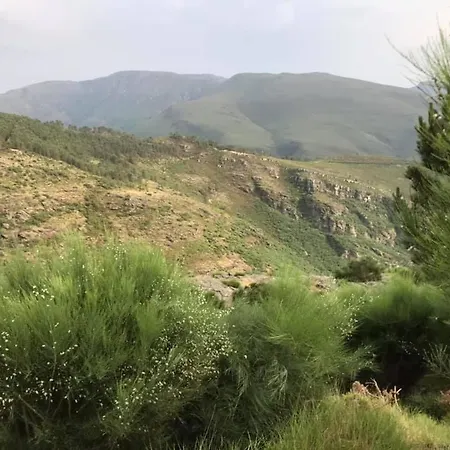 Cantinho Tecedeiras Hébergement de vacances *