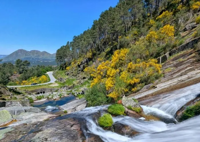 펜션 Cantinho Tecedeiras *